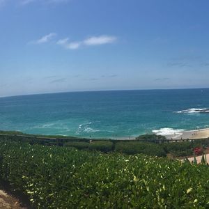 Meet your Posher, Laurel